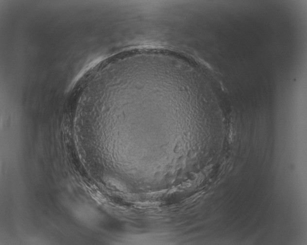 X0000078281255200611031159