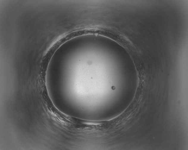 X0000078281256200611031159