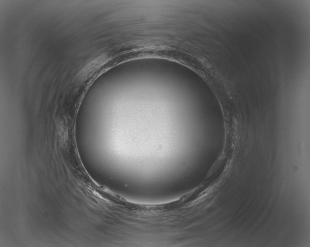 X0000078281257200611031159