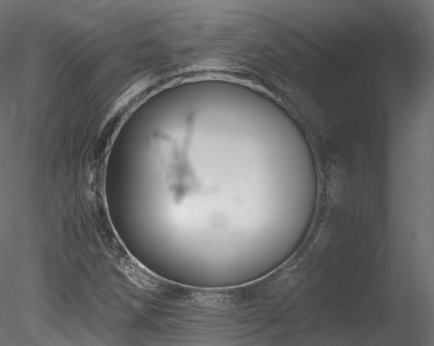 X0000078281258200611031159