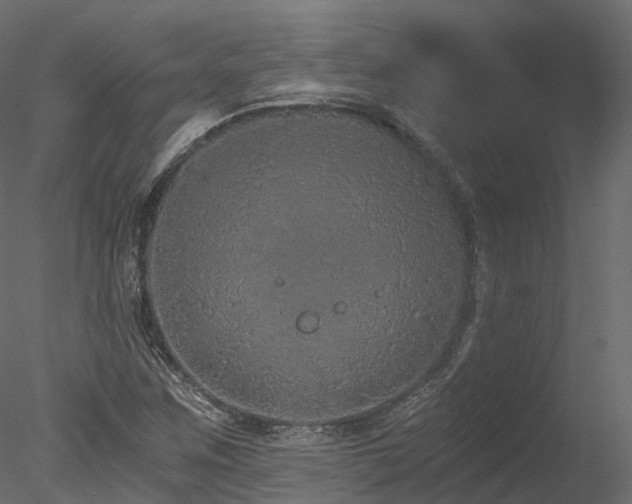 X0000078281259200611031159