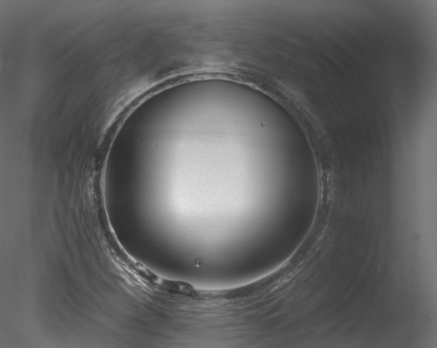 X0000078281260200611031159