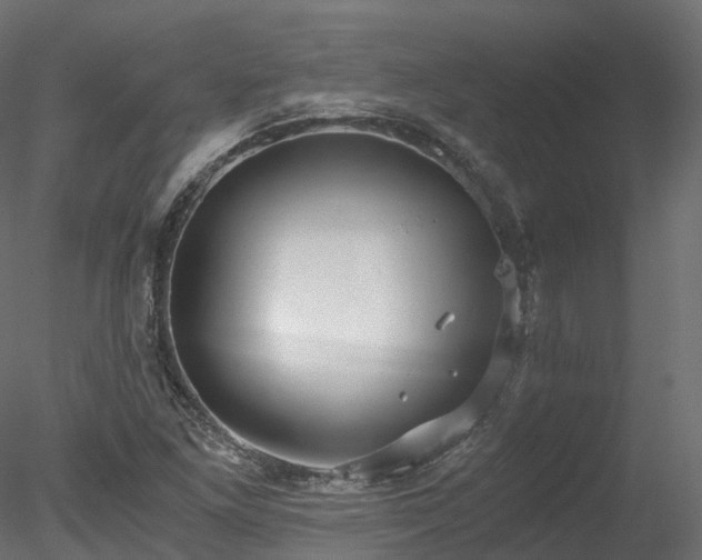 X0000078281261200611031159