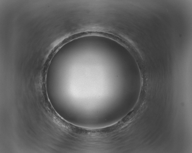 X0000078281264200611031159