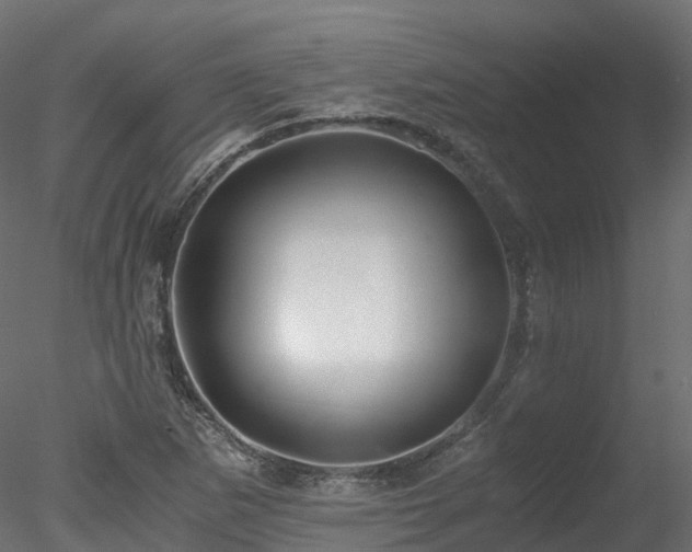 X0000078281265200611031159