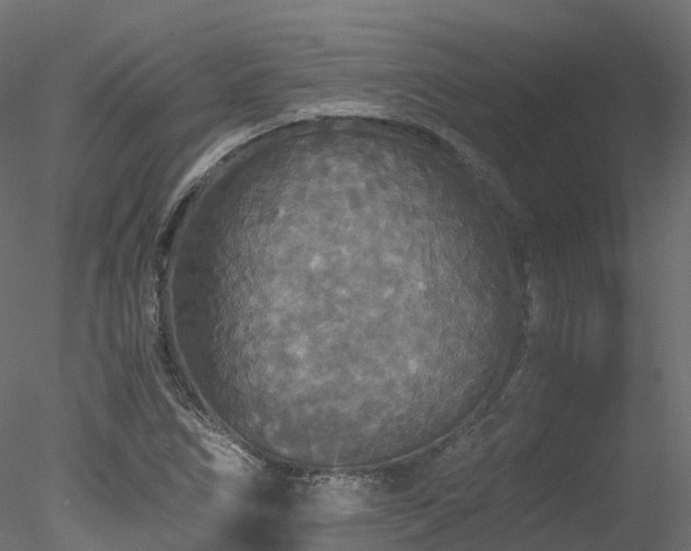 X0000078281266200611031159