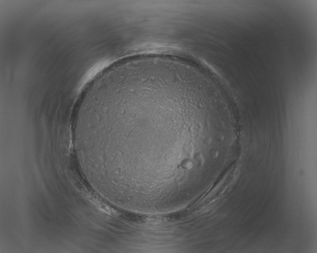 X0000078281267200611031159