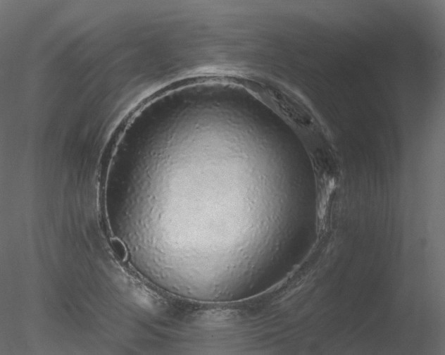 X0000078281268200611031159