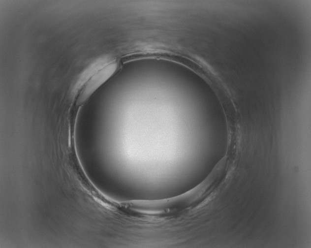 X0000078281269200611031159