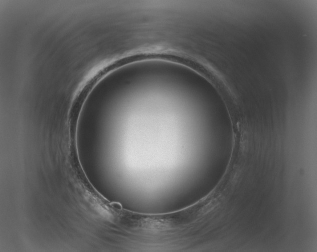 X0000078281270200611031159