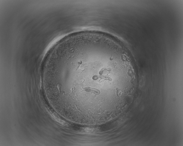 X0000078281271200611031159