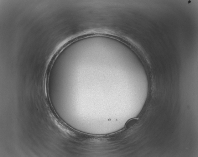 X0000078281272200611031159