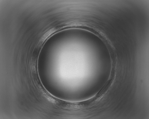 X0000078281273200611031159