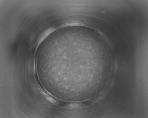 X0000078281274200611031159