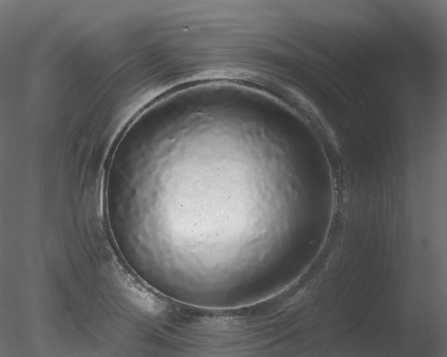 X0000078281276200611031159