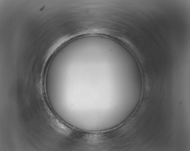 X0000078281278200611031159