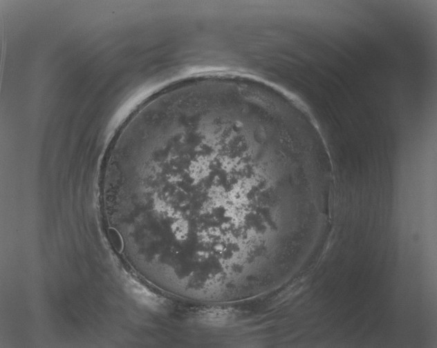 X0000078281279200611031159