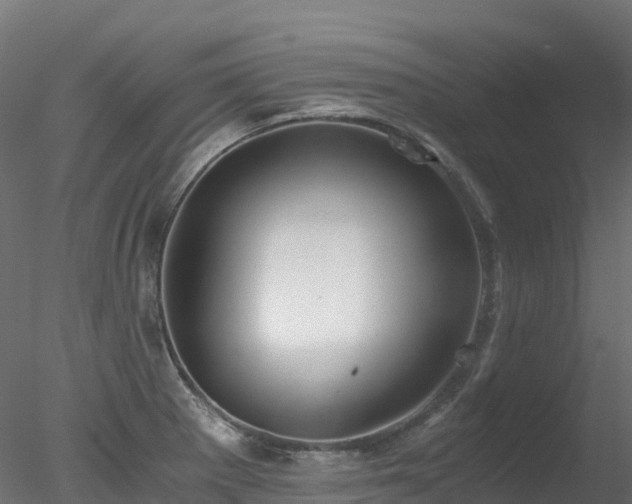 X0000078281281200611031159