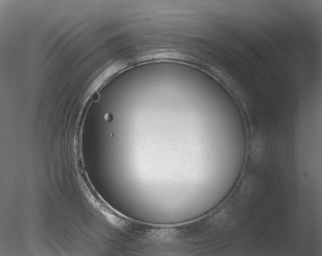 X0000078281282200611031159