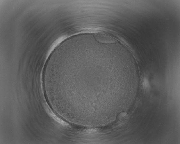 X0000078281283200611031159