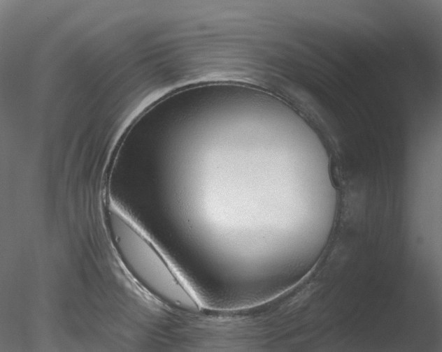 X0000078281284200611031159