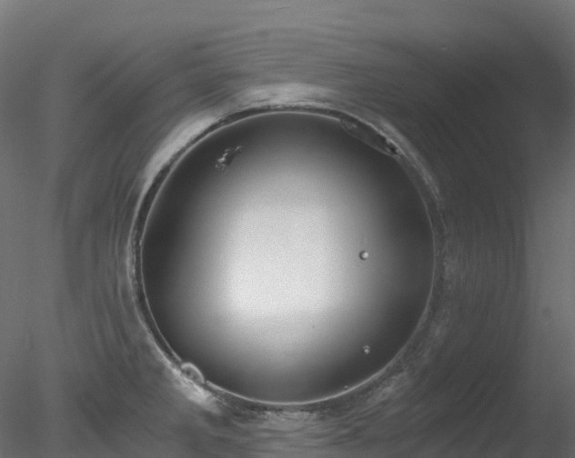 X0000078281285200611031159