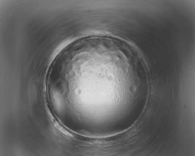 X0000078281287200611031159