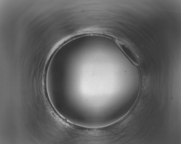 X0000078281288200611031159