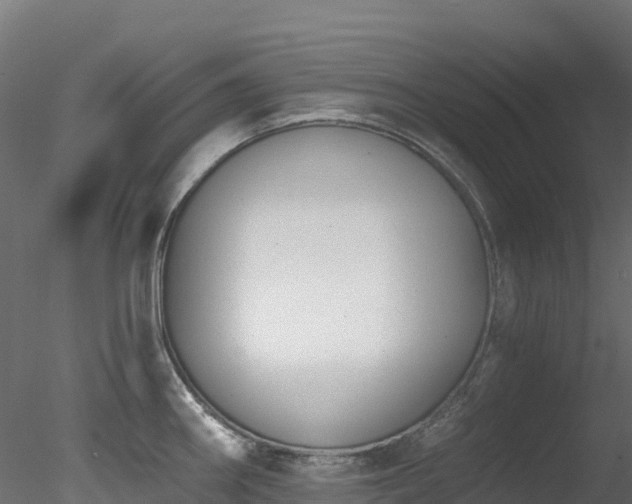 X0000078281290200611031159