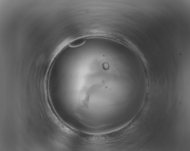 X0000078281291200611031158