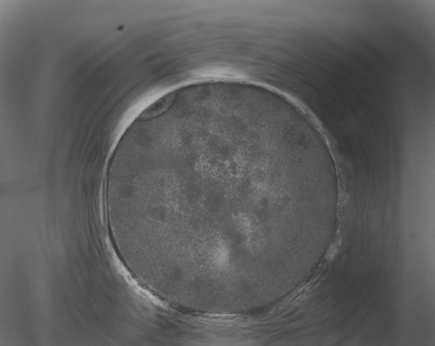 X0000078281295200611031158