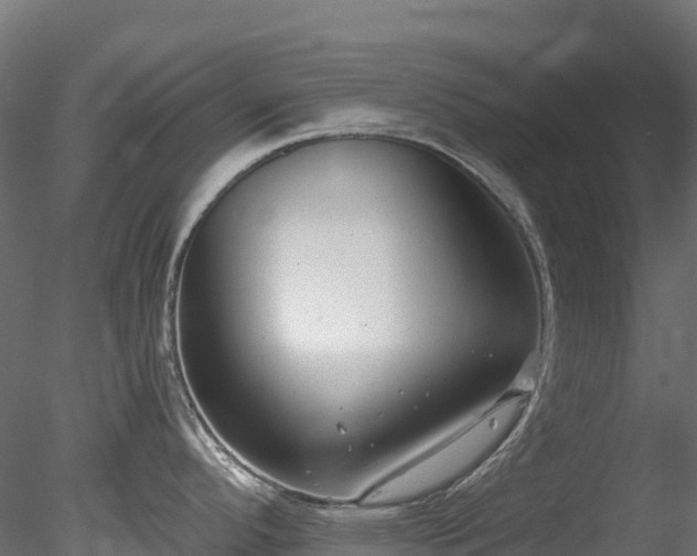 X0000078281296200611031158