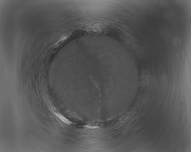 X0000078281297200611031158