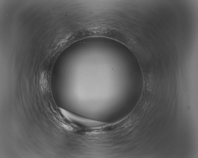 X0000078281298200611031158