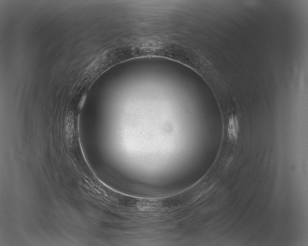 X0000078281299200611031158