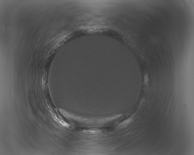 X0000078281300200611031158