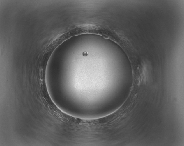 X0000078281301200611031158