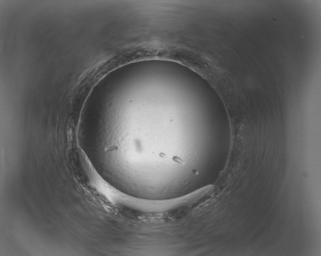 X0000078281302200611031158