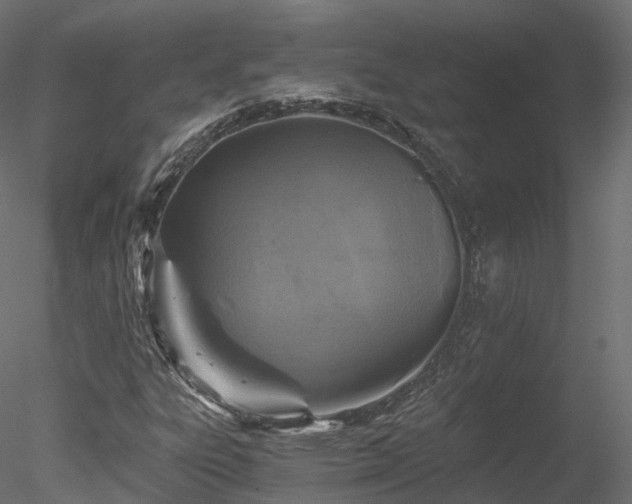 X0000078281303200611031158