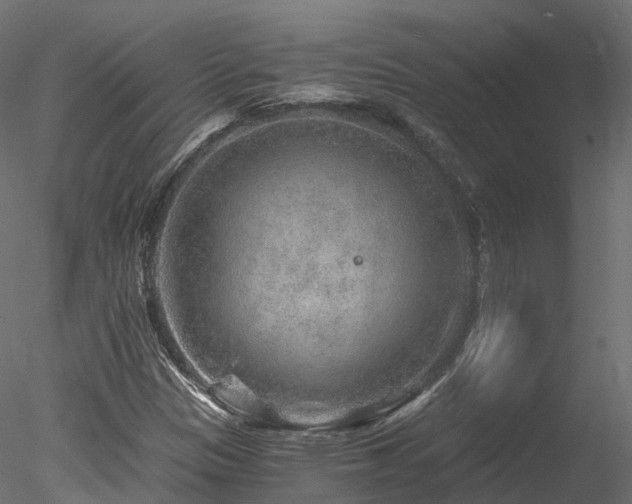 X0000078281305200611031158