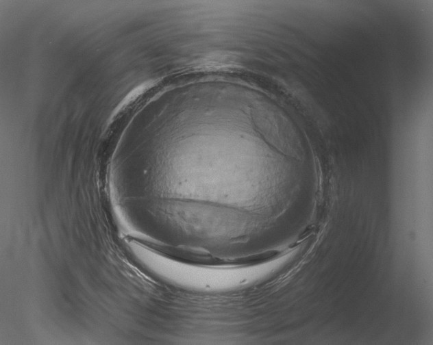 X0000078281306200611031158