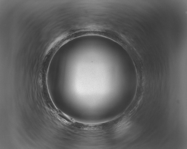 X0000078281307200611031158