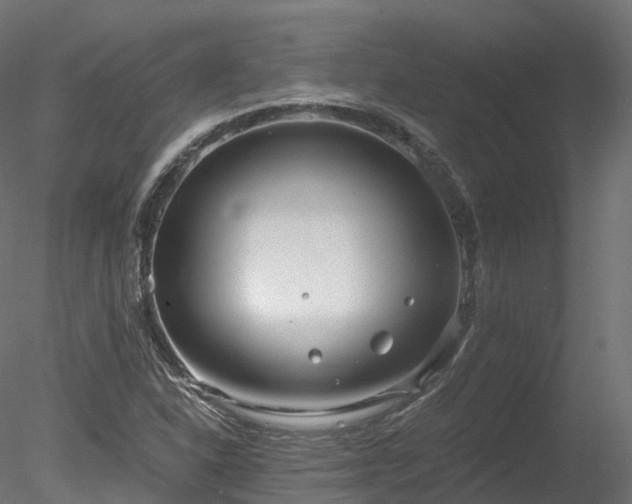 X0000078281310200611031158