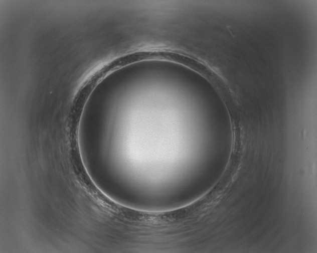 X0000078281311200611031158