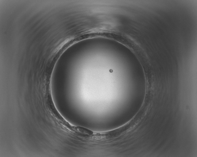 X0000078281313200611031158