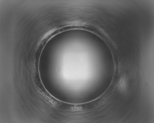 X0000078281315200611031158