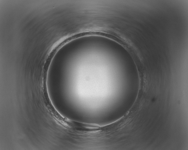 X0000078281316200611031158