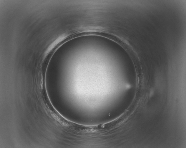 X0000078281317200611031158