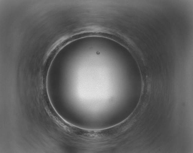 X0000078281318200611031158