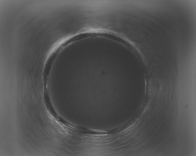 X0000078281319200611031158